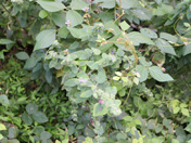 picture2