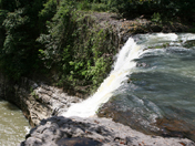 picture1