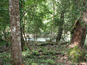 picture2