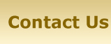 Contact-Us