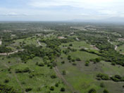 picture1