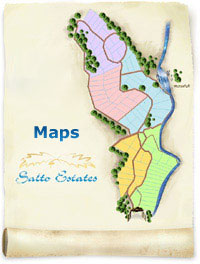 Maps