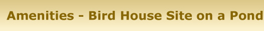 AMENITIES--Bird-House-Site-