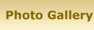 Photo-Gallery