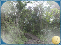 Road-to-Waterfall-#1_s