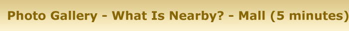 WHAT-IS-NEARBY---Mall